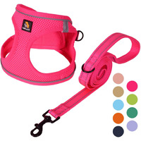 Bella & Pal Puppy Harness With Leash Set, Dog Harness For Small Dogs No Pull, Dog Leash For Small Dogs, Step In Harness For Extra Small Dogs, Hot Pink Harness, S
