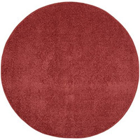 Nourison Essentials Indoor/Outdoor Brick Red 4' X Round Area Rug, Easy -Cleaning, Non Shedding, Bed Room, Living Room, Dining Room, Backyard, Deck, Patio (4 Round)