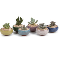 T4U 2.5 Inch Small Ceramic Succulent Planter Pot With Drainage Hole Set Of 6, Ice Crack Glaze Porcelain Handicraft Plant Container Gift For Mom Sister Aunt Best For Home Office Desk Decoration