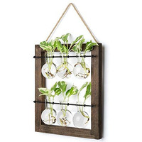 Mkono Double Layer Wall Hanging Glass Planter Propagate Station, Modern Novel Flower Bulb Vase Plant Terrarium With Retro Wooden Stand For Hydroponics Plants Home Garden Office Decor, 6