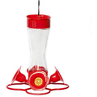 Nature's Rhythm Bird Feeder 4 Bee Guard Plastic Feeding Port 12Oz Glass Pinch Waist Hummingbird Feeder,1Pcs