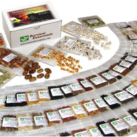 Heirloom Seeds For Planting Vegetables And Fruits - Survival Essentials 135 Variety Seed Vault - Medicinal Herb Seeds - Grow Healthy Non-Gmo Food