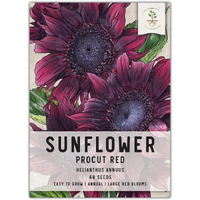 Seed Needs, Procut Red Sunflower Seeds - 40 Hybrid Seeds For Planting Helianthus Annuus - Specialty F1 Hybrid, Great Cut Flower, Attracts Pollinators (1 Pack)
