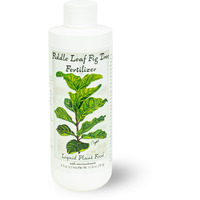 Fiddle Leaf Fig Tree Fertilizer  Ficus Plant Food  Improves Leaves And Branches  Potted Indoor Trees And House Plants Treatment By Aquatic Arts