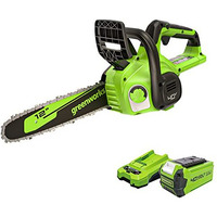 Greenworks 40V 12"" Chainsaw, 2.0Ah Battery And Charger Included (Gen 2)