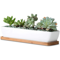 11Inch Long Rectangle White Ceramic Succulent Planter Pots/Mini Flower Plant Containers With Bamboo Saucers. Product Size:11X2.36X1.77Inch,Not Include The Plant. (Long Rectangle)
