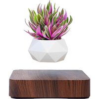 Levitating Air Bonsai Pot, Rotation Flower Pot Planters, Magnetic Levitation Suspension Floating Pot, Potted Plant Home Desk Decor In Flower Pots & Planters From Home & Garden On (Dark Color)