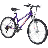 Dynacraft Hardtail Echo Ridge Mountain Bike Girls 24 Inch Wheels With 18 Speed Grip Shifter And Dual Handbrakes In Puple