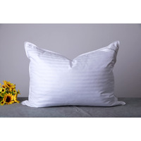 Arcticnorthdown Standard Goose Down Feather Hotel Collection Bed Pillows For Sleeping One Pillow For Back, Stomach Or Side Sleepers Stripe White Color