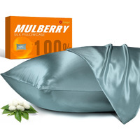 100% Mulberry Silk Pillowcase For Hair And Skin, 22 Momme Natural Silk Pillow Case With Zipper, Both Sided Pure Silk Pillow Cover Gifts For Women Mom Men (Airy Blue, Standard 20''   26'')