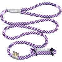 Cesar Millan Slip Lead Leash - 2-In-1 Slip Collar Dog Training Lead & Collar  Heavy Duty Durable Weatherproof Rope Leash, No Pull Training  Length 4Ft Diameter 4/10(Regular, Aqua/Purple)
