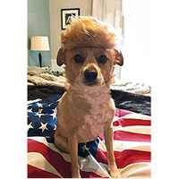 Donald Trump Style Pet Costume Dog Wig, Dog Clothes With Collar & Tie Head Wear Apparel Toy For Halloween, Christmas, Parties, Festivals (Brown Without Tie)