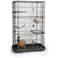 Premium Cat Home With Four Levels