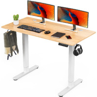 Sweetcrispy Electric Standing Desk,48 X 24In Adjustable Height Electric Stand Up Desk Standing Computer Desk Home Office Desk Ergonomic Workstation With 3 Memory Controller, Bamboo Texture