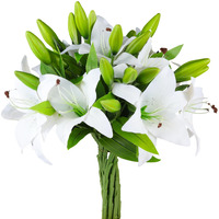 Hananona 8 Pcs Artificial Tiger Lily Real Touch Lily Easter Lily Fake Spring Flowers For Wedding Home Party Easter Decoration Plastic Lily Faux Flowers (White, 8)