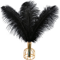 Tharaht Black Ostrich Feathers 12Pcs Large Natural Bulk 16-18Inch 40Cm-45Cm For Wedding Party Centerpieces Halloween And Home Decoration Feathers