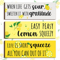 Yulejo 3 Pieces Lemon Wood Sign Lemon Kitchen Decor Inspirational Quote Wall Decor Summer Gift Farmhouse Porch Decoration Lemon Accessories For Home Bedroom Bathroom Kitchen Decor