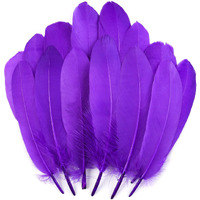Tharaht 120Pcs Purple Goose Feathers Natural Bulk 6-8 Inch 15-20Cm For Crafts Diy Cosplay Wedding Party Halloween Decoration Goose Nagoire Feathers