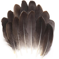 Tharaht 120Pcs Natrual Gray Natrual Goose Feathers Natural Bulk 6-8 Inch 15-20Cm For Crafts Diy Cosplay Wedding Party Halloween Decoration Goose Nagoire Feathers