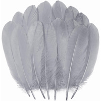 Ballinger Gray Craft Feathers Bulk - 120Pcs 6-8Inch Big Feathers For Diy Halloween Decorations, Jewelry,Cosplay And Clothing Accessories