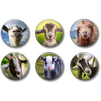 Goat Magnets Farmhouse Style Cute Locker Magnets For Teens - 1.75"" Set Of 6 - Whiteboard Magnets For Home School Or Office