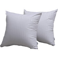 Feather Proof Pillow Protectors 20X20 Waterproof Cover For Goose Down Square Throw Pillows 2 Pack