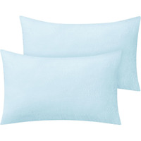 Bedelite Flannel Pillow Cases Queen Size Set Of 2, Super Soft Fleece Pillow Case Cover With Zipper For Bedroom, Sofa, Couch,Luxury Cozy Fuzzy Velvet Pillow Shams For All Seasons(20X30 Inches,Blue)