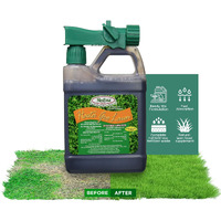 Medina Hastagro Liquid Lawn Fertilizer - 12-4-8 Liquid Fertilizer For Lawns, Ready To Spray Grass Fertilizer For Lawn Care, Lawn Food For Vibrant Green Lawns, 1 Qt - Treats Up To 4000 Sq Ft