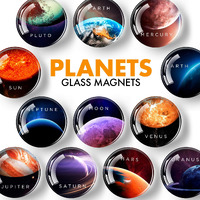 Decorative Magnets For Fridge - Glass Magnets For Refrigerator - Cute Fridge Magnets For Office And Kitchen - Succulent Whiteboard Magnets For Locker