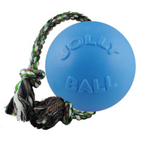 Jolly Pets Romp-N-Roll Rope And Ball Dog Toy, 6 Inches/Medium, Blueberry, Model Number: 606 Bb, All Breed Sizes