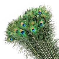 Mwoot 50Pcs Peacock Feathers, Green Peacock Eye Feathers For Diy Crafts Art, Peacock Tail Feathers For Carnival Revelry Masquerade Costume Wedding Holiday Party Decoration (28-32Cm)