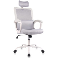 Office Chair, Ergonomic Mesh Computer Desk Chair, High Back Swivel Task Executive Chair Padding Armrests With Adjustable Rotatable Headrest Lumbar Support (Light Gray, No Hanger)