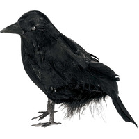 Halloween Haunted Feathered Raven
