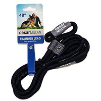 Cesar Millan Slip Lead Leash - 2-In-1 Slip Collar Dog Training Lead & Collar | Heavy Duty Durable Weatherproof Rope Leash, No Pull Training | Length 4Ft Diameter 4/10   (Regular, Black)
