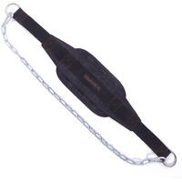 Hemeraphit Weighted Chin Up Belt With Chain Dip Belt Powerlifting Strength Training Pull Up Belt Waist Back Support