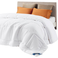 Bedsure Comforter Duvet Insert - Quilted Comforters Queen Size, All Season Duvet, Down Alternative Bedding Comforter With Tabs(White,Queen 88""X88"")