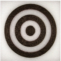 2"" Thick Self Healing Foam Blowgun Target (White Border