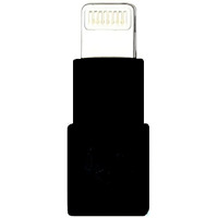 Kokkia Slim_Lightning_Extender_Black : Tiny, Slim Male To Female Lightning Extender, Compatible With Iphone, Ipad, Ipod With 8-Pin Lightning Connector. Compatible I10L, 10L_Pro Splitter.