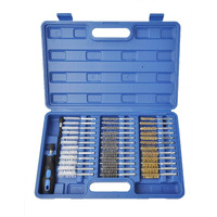 38Pc Industrial Wire Brush Set 1/4"" Hex Shank Long Ext. Stainless Steel Nylon
