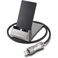 Astell&Kern Pem11 Dock With Charging/Usb Dac For Ak100Ii And Ak120Ii