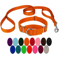Country Brook Petz - Orange Martingale Heavyduty Nylon Dog Collar And Double Handle Leash (3/4 Inch, Small)