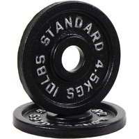 Fitvids Cast Iron Plate Weight Plate For Strength Training And Weightlifting, 2-Inch Center (Olympic), 10Lb (Set Of 2)