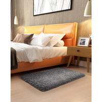 Ophanie Small Rug Throw Non Slip Rugs For Bedroom, Mini Area Rug, Fluffy Grey Carpet, Affordable Door Entryway Indoor Inside Front Entrance Dog 2X3 Mat, Home Decor Aesthetic, Nursery