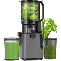 Juicer Machines With 5.8"" Extra Large Feed Chute, Cold Press Juicer For Whole Vegetables And Fruits, 350W Professional Masticating Juicer Easy To Clean For Batch Juicing (Titanium Gray)