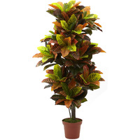 Nearly Natural 56In. Croton Plant (Real Touch)