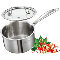 Delarlo Tri-Ply Stainless Steel Sauce Pan, Stainless Steel Pot 2 Qt, All Stove Compatible 600?(Lids 300?), 2 Quart Saucepan With Lid, Fast Even Heat, 2 Qt Pot With Lid, Dishwasher Safe, Induction Pot