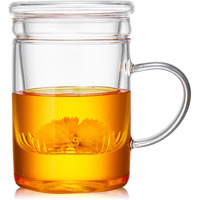 Unbreakable Glass Tea Cup With Infuser And Lid 17 Fl Oz, Heat Resistant Borosilicate Glass, Tea Infuser Mug For Blooming And Loose Leaf Tea, Gas Stovetop Safe