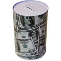Homebay 100 Dollar Bill Metal Money Coin Piggy Bank