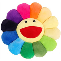 Snepoo Smile Face Plush Rainbow Pillow, Sunflower Indie Decor Plush Pillow Soft & Comfortable Flower Floor Pillow For Home Reading Bed Room Decoration