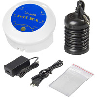 Ionic Foot Bath Detox Machine, Portable Ionic Detox Foot Bath Spa Machine Ion Cleanse Controller For Home Travel Holiday